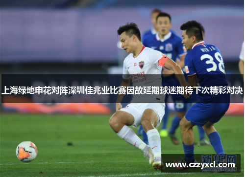 上海绿地申花对阵深圳佳兆业比赛因故延期球迷期待下次精彩对决