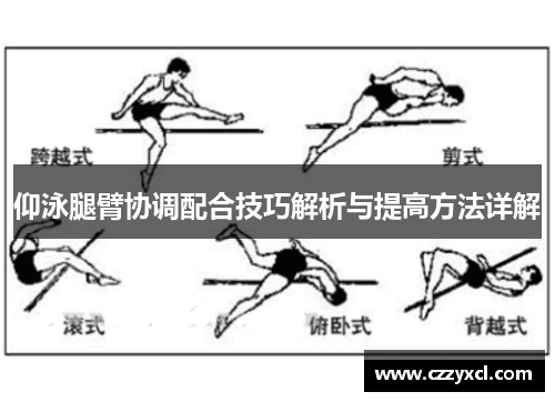 仰泳腿臂协调配合技巧解析与提高方法详解