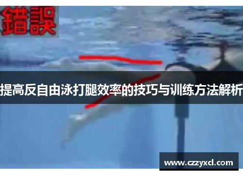提高反自由泳打腿效率的技巧与训练方法解析