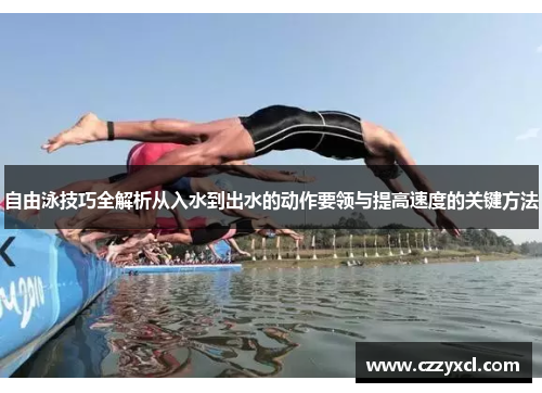 自由泳技巧全解析从入水到出水的动作要领与提高速度的关键方法