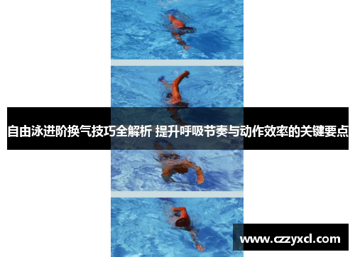 自由泳进阶换气技巧全解析 提升呼吸节奏与动作效率的关键要点