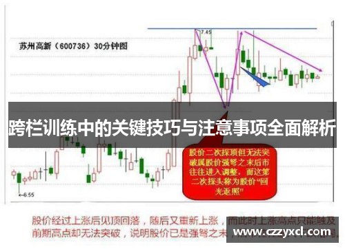 跨栏训练中的关键技巧与注意事项全面解析